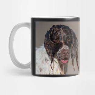 Welsh Springer Mug